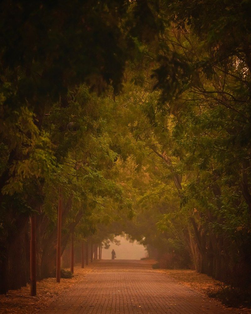 Photograph by Владимир Кульбит