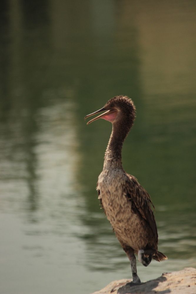 Photograph by Екатерина Александровна