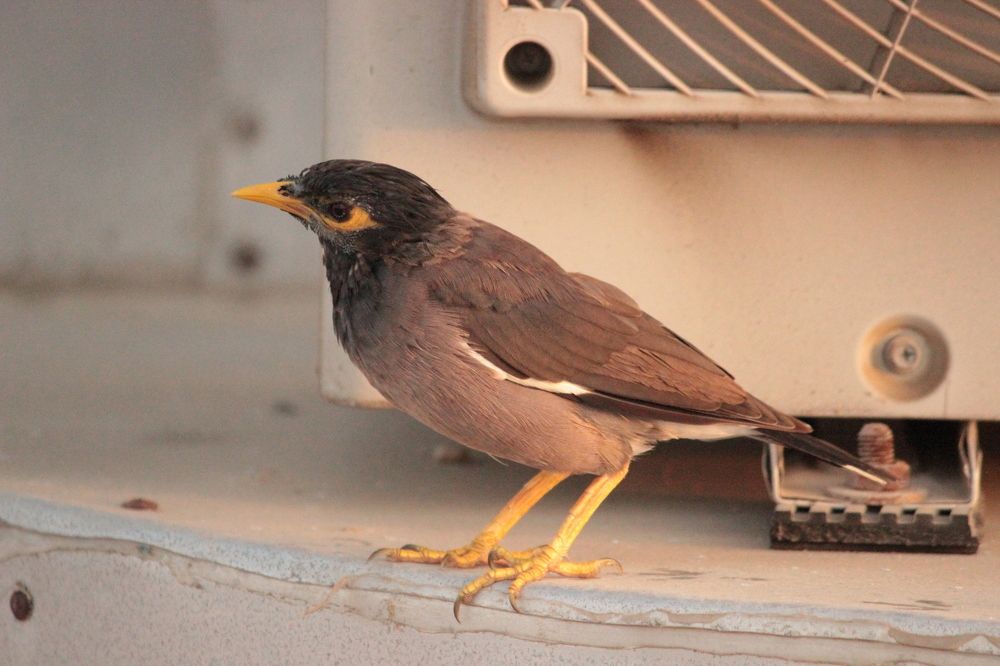 Photograph by Екатерина Александровна