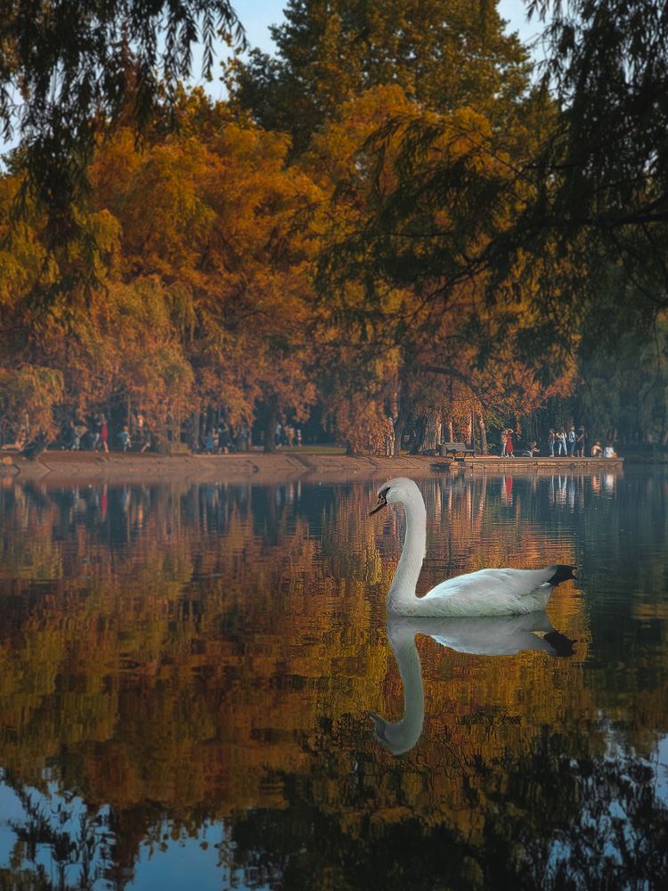 Photograph by Ахсарбек Абаев