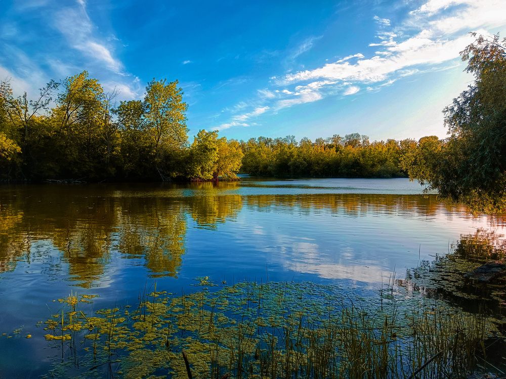 Фотография автора Ольга Юдина