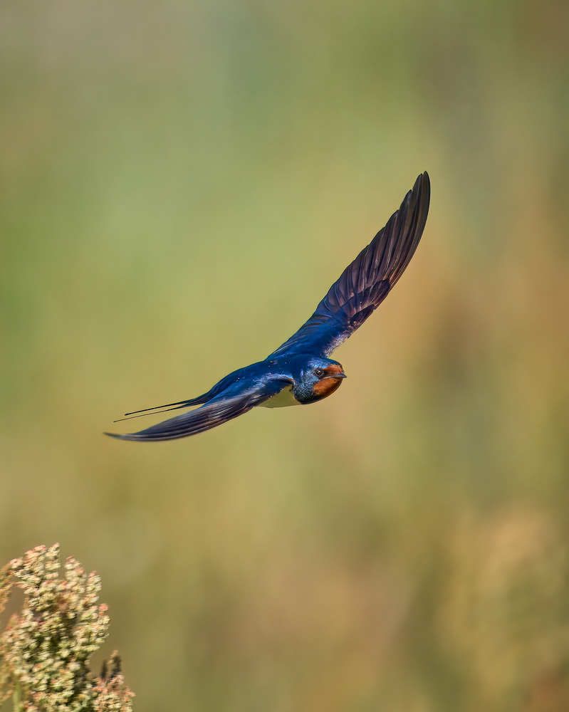 Photograph by Mikhail Khmelevskiy