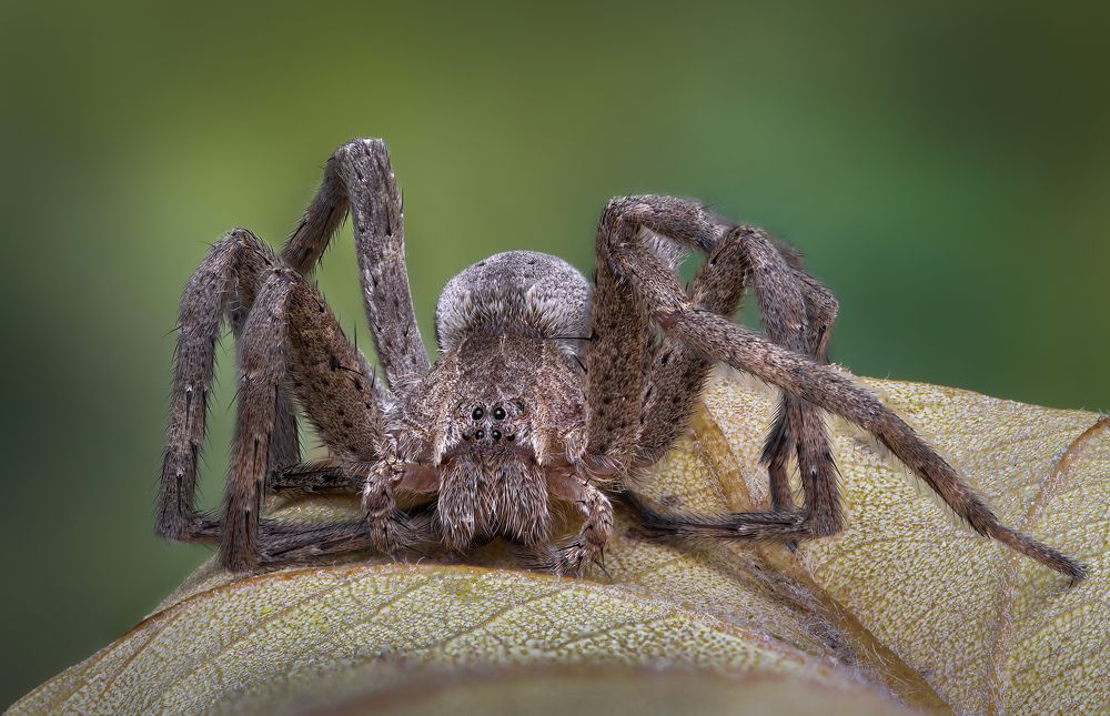 Photograph by Atul Saluja