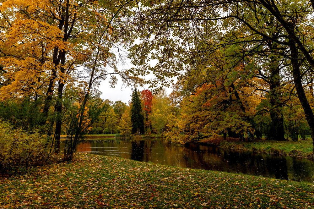 Photograph by Ольга Михайлова