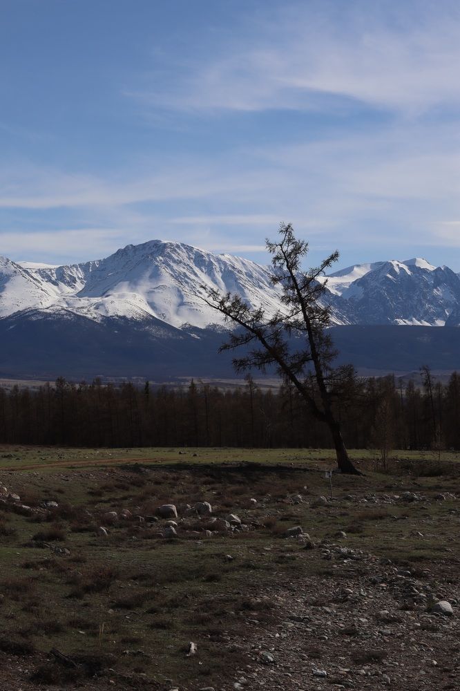 Photograph by Наталья Савельева