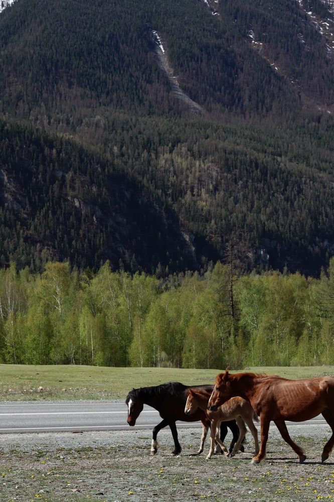 Photograph by Наталья Савельева