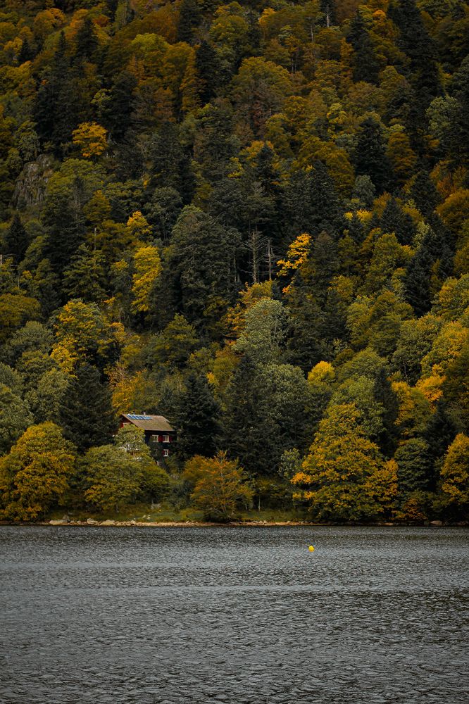 Photograph by Ekaterina Denisenko