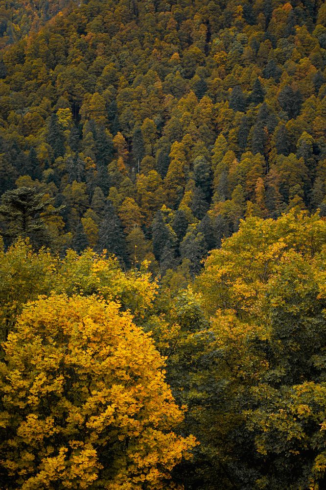 Photograph by Ekaterina Denisenko