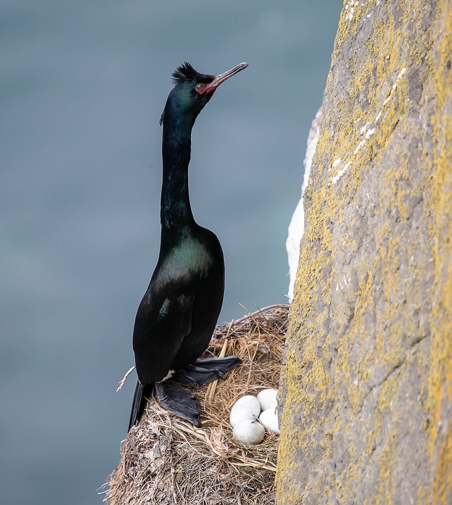 Photograph by Нина Хорева