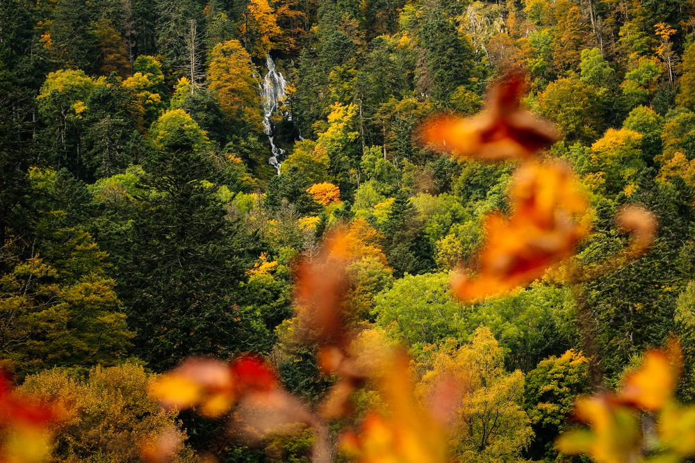 Photograph by Ekaterina Denisenko