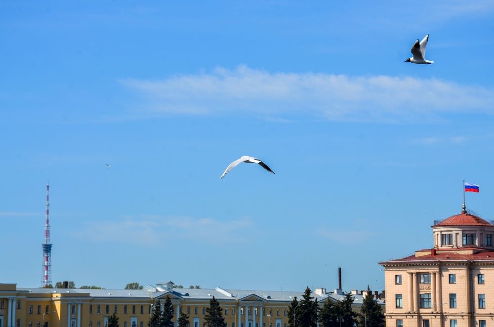 Photograph by Лиана Ратия