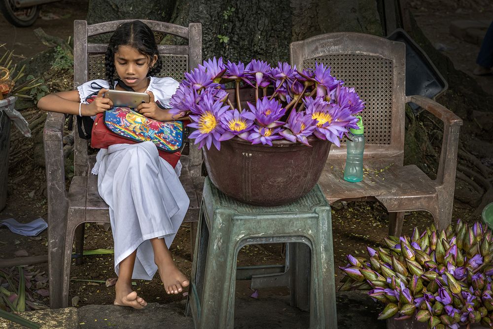 Фотография автора Manjula Perera