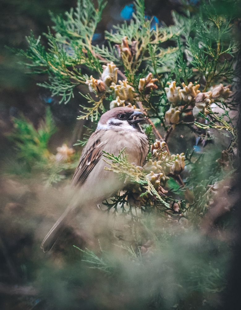 Photograph by Катерина Сорокина