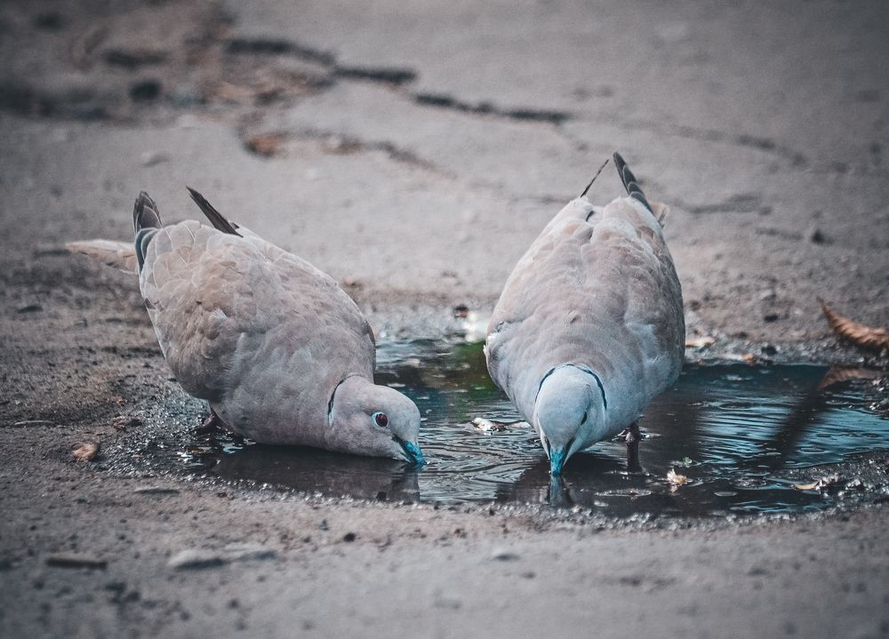 Photograph by Катерина Сорокина