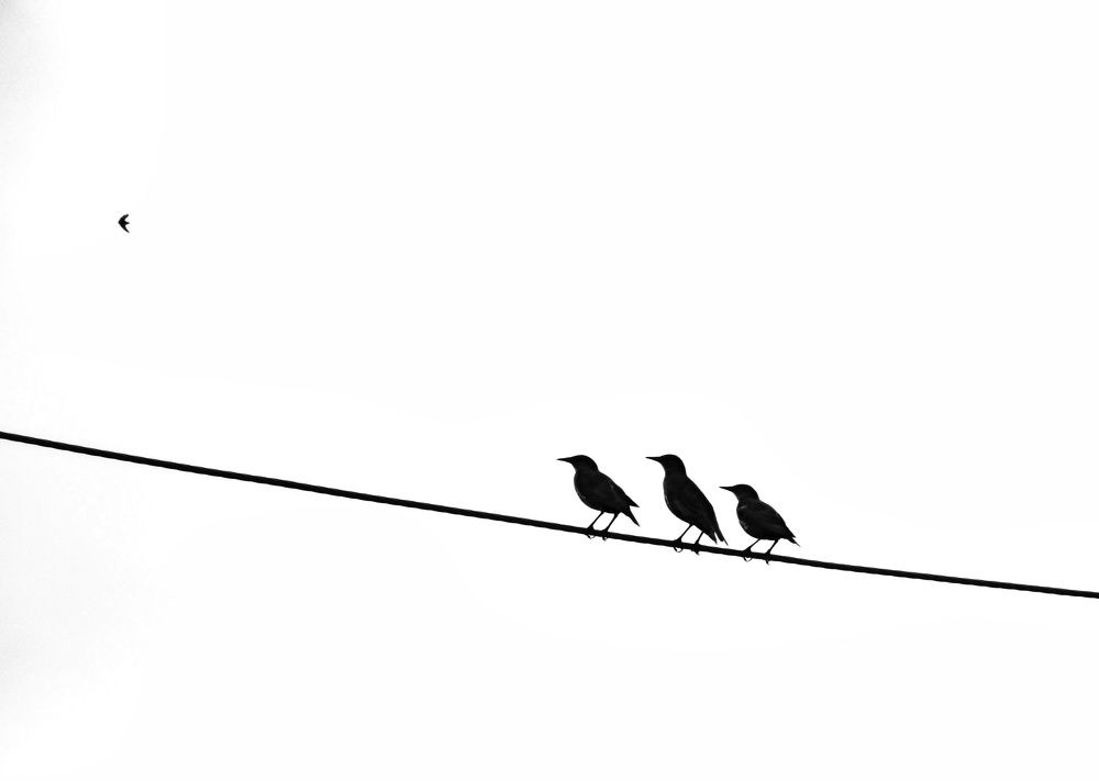 Photograph by Екатерина Салий