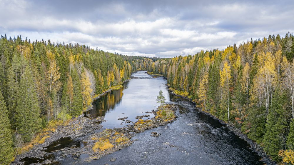 Фотография автора Иван Миллер