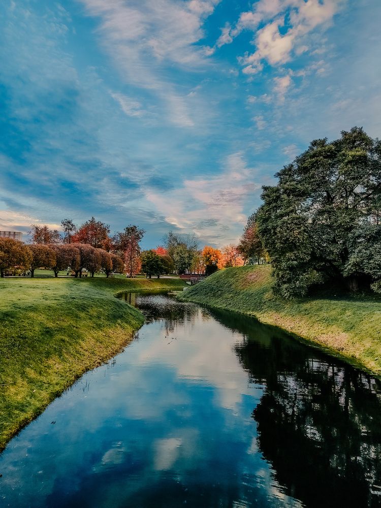 Фотография автора Алиса Исаева