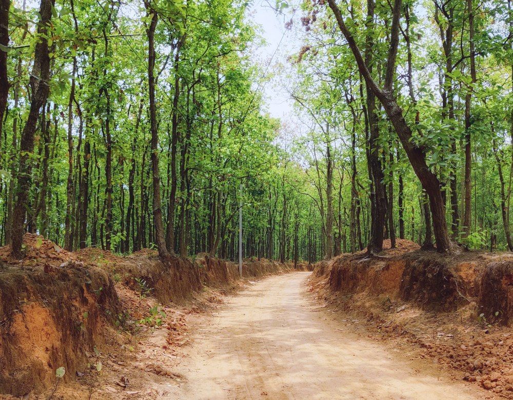 Photograph by Md Millat Islam