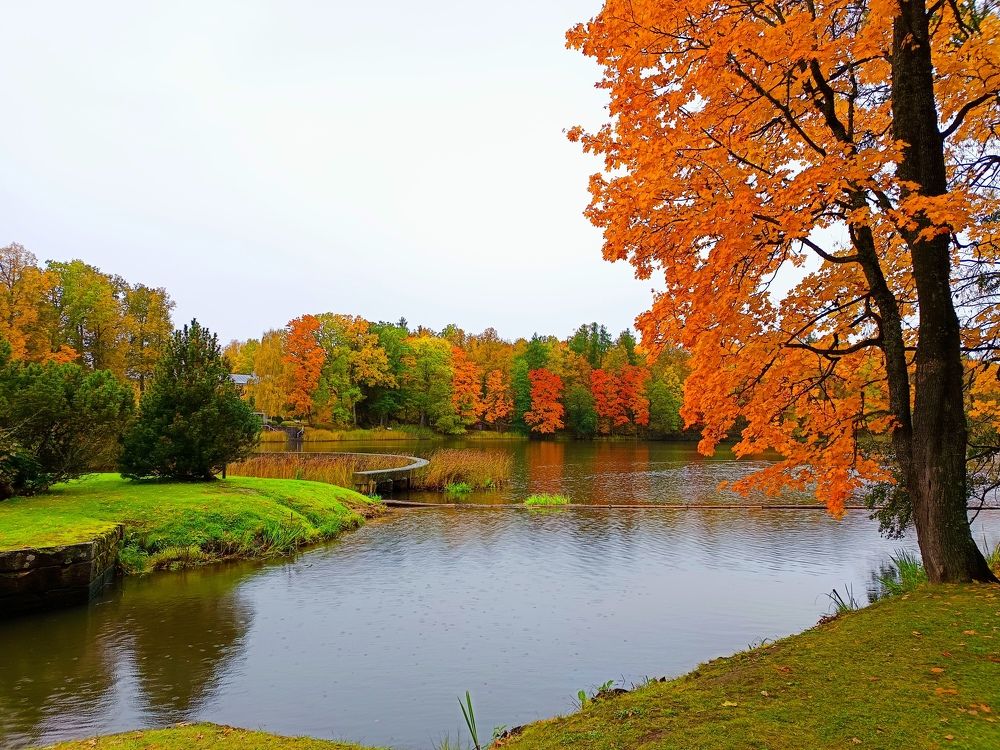 Photograph by Kristiina Soots