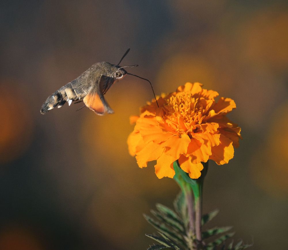 Photograph by Катерина Сорокина