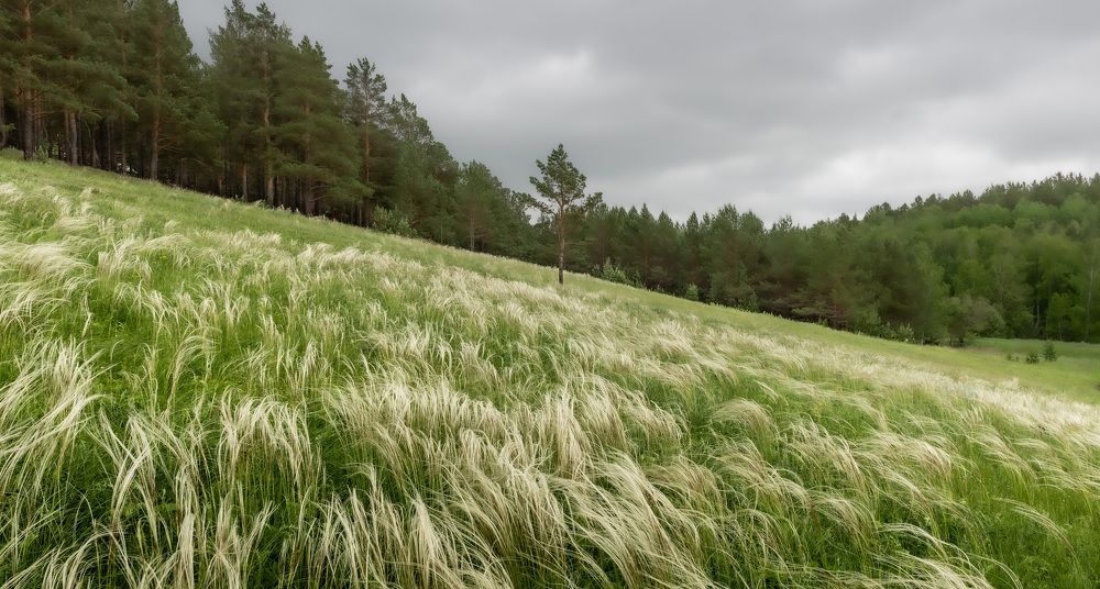Photograph by Валерий Туманов