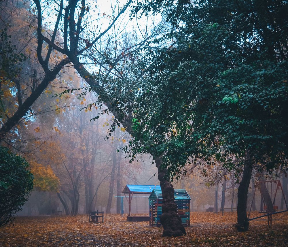 Photograph by Катерина Сорокина