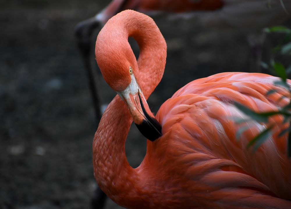 Photograph by Владислав Кравцов