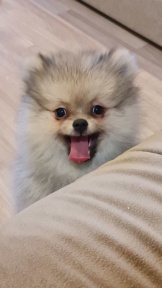 Photograph by Евгений Мельниченко