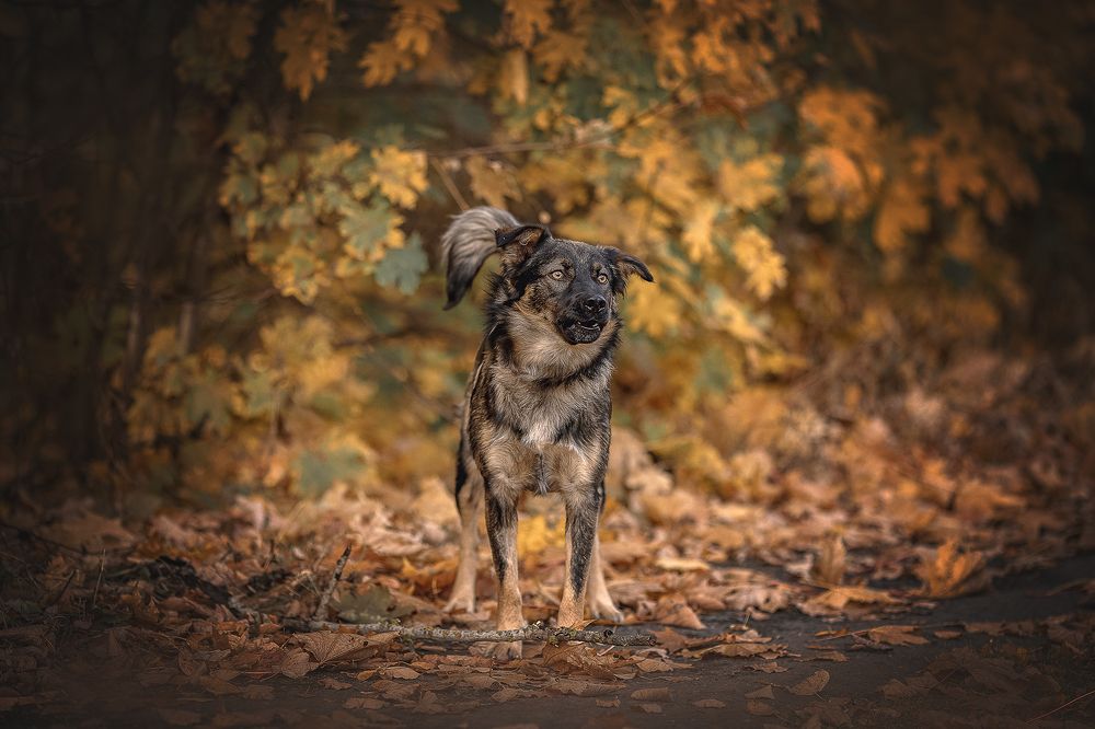 Photograph by Елена Самусенкова