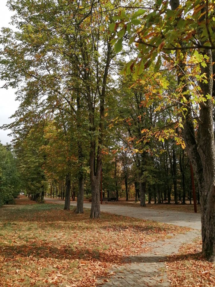 Photograph by Александра Шереметьева