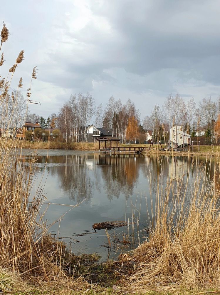 Photograph by Галина Левина