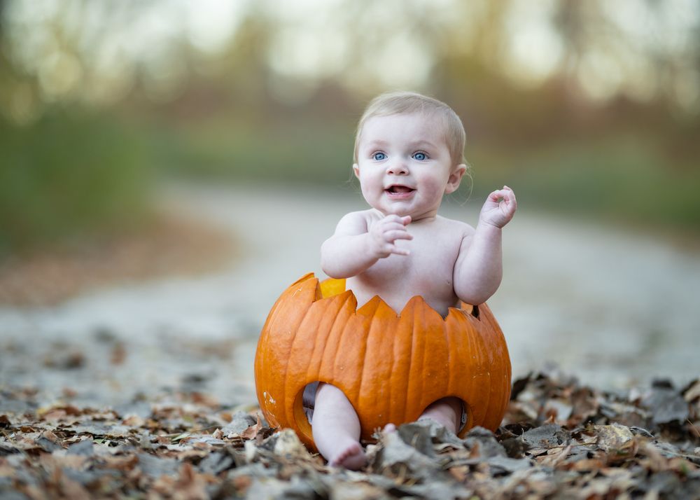 Photograph by Tony Douzenis