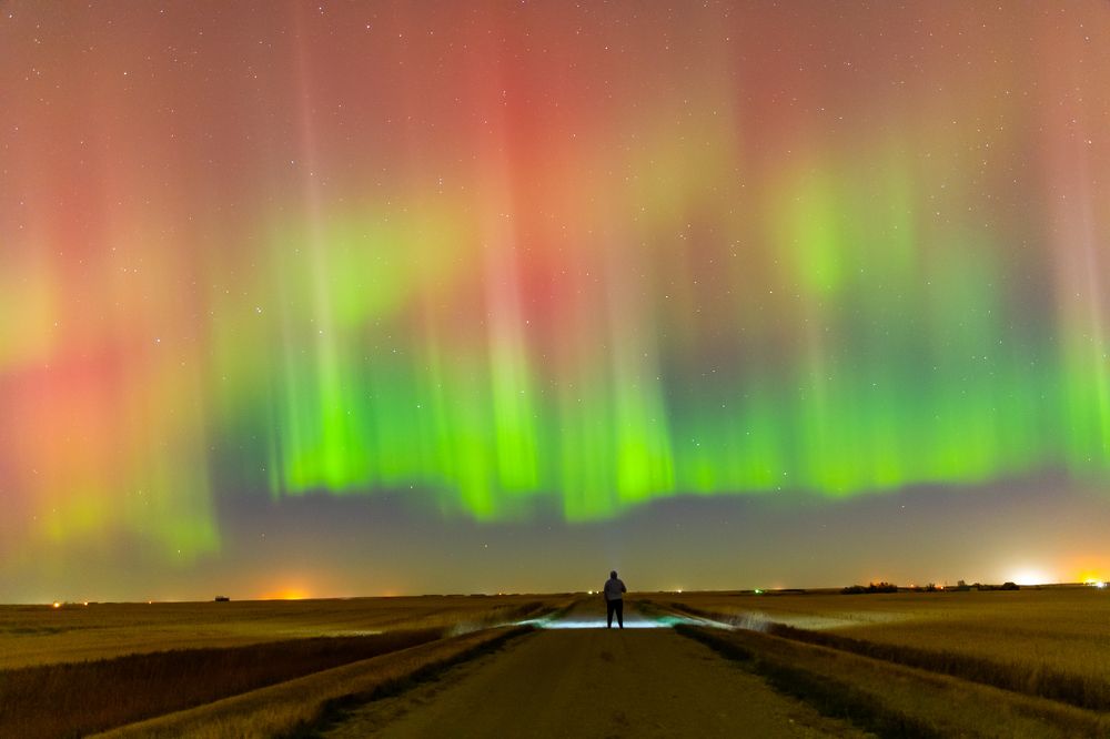 Photograph by Tony Douzenis