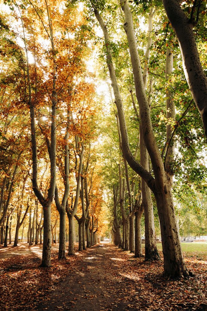 Photograph by Alonzo Contreras