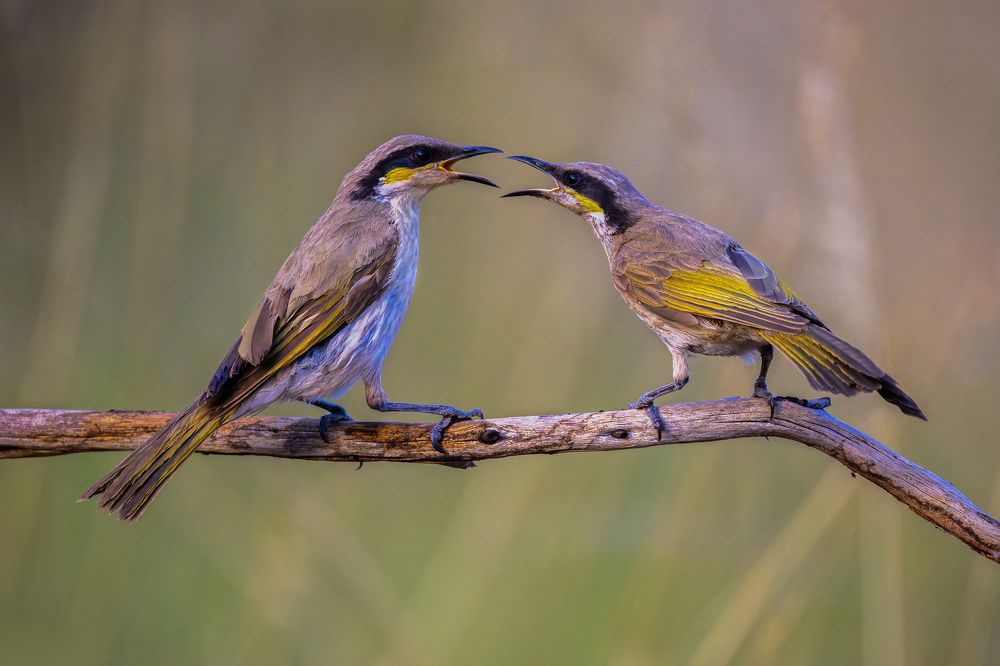 Photograph by Alexander Babych