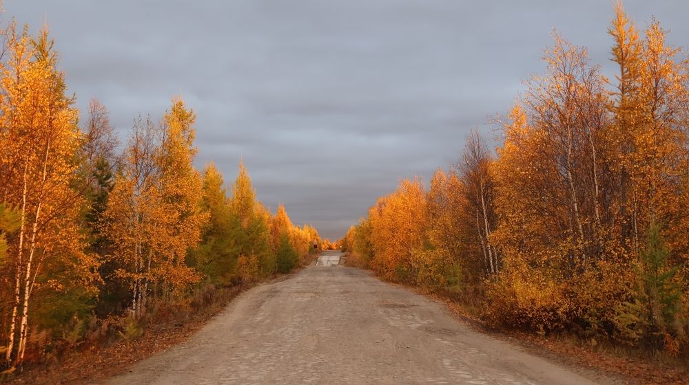 The road to the airport