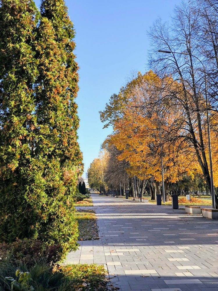 Photograph by Ирина Ященко