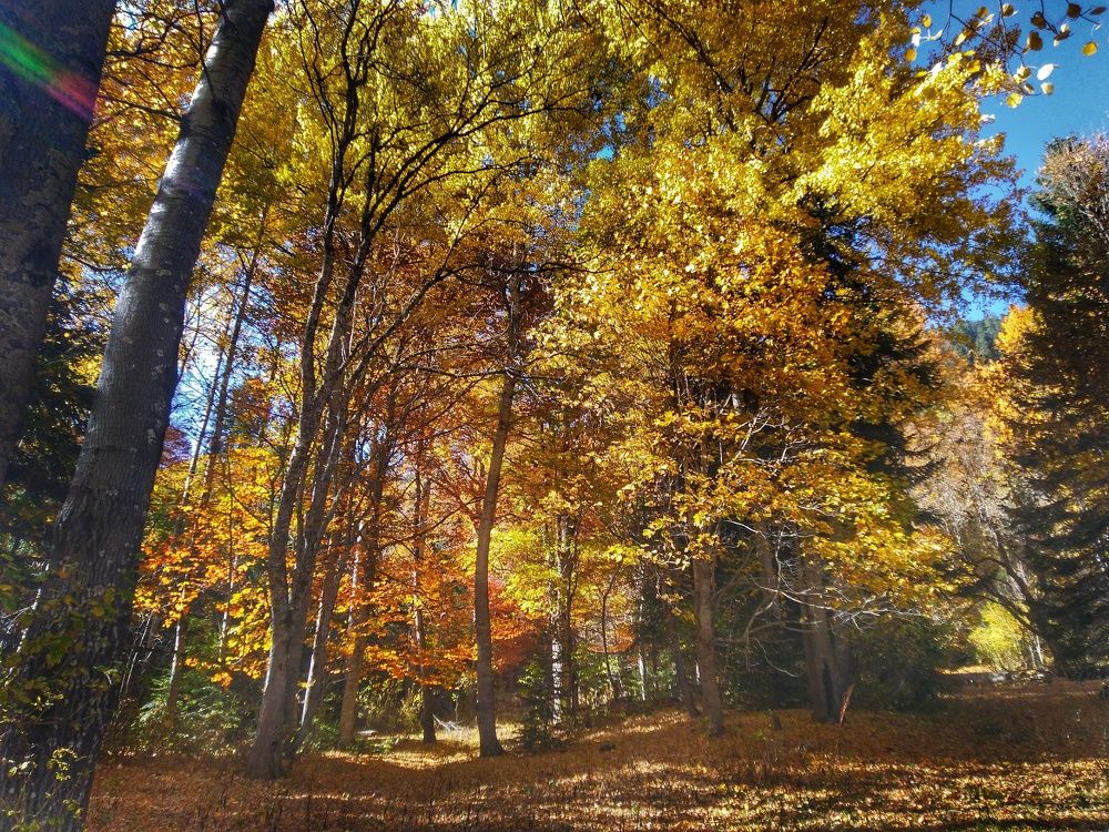 Photograph by Михаил Зорин