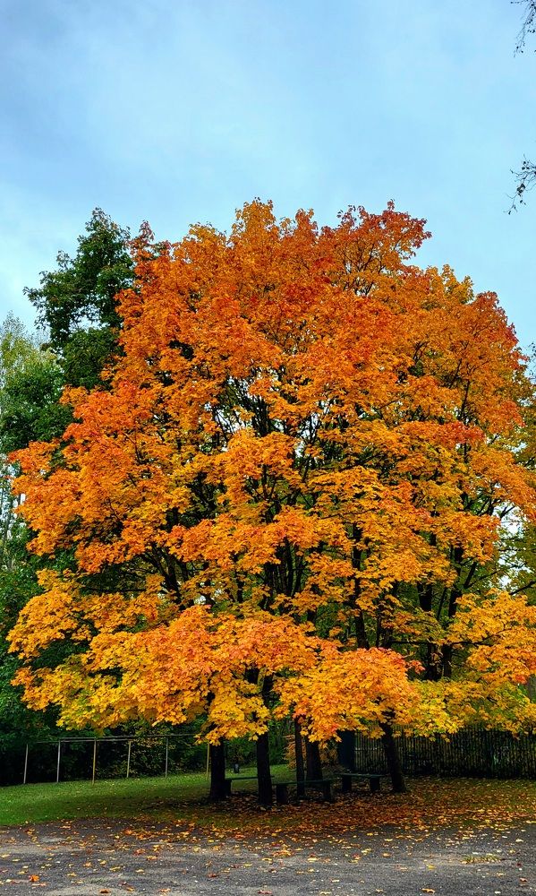 Photograph by Dmitrij Zykunov