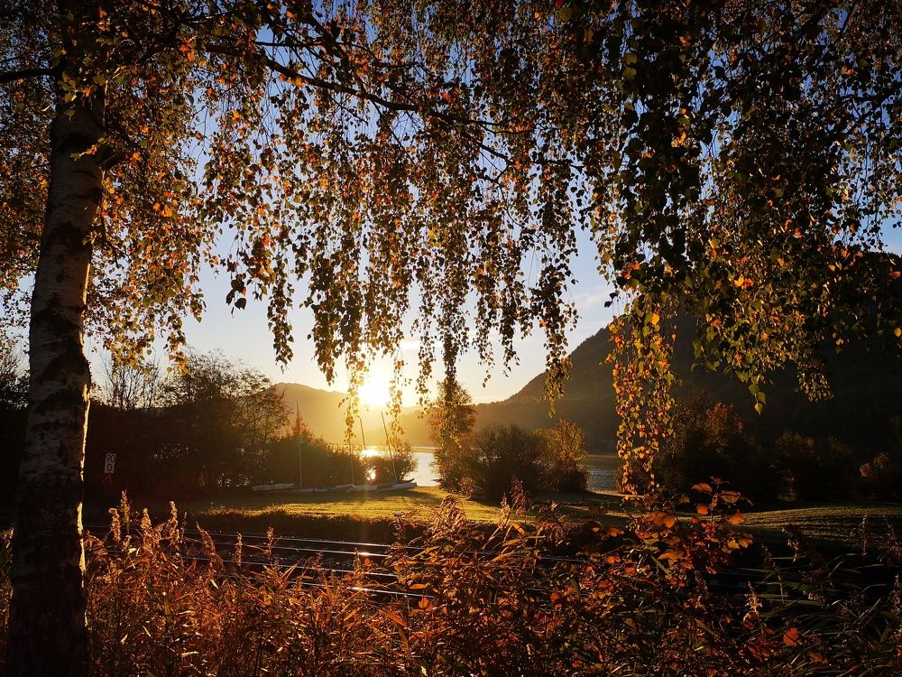 Фотография автора Julia