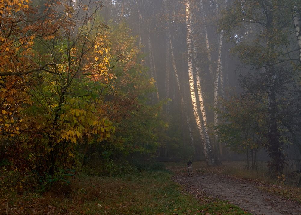 Photograph by Boris Nesh