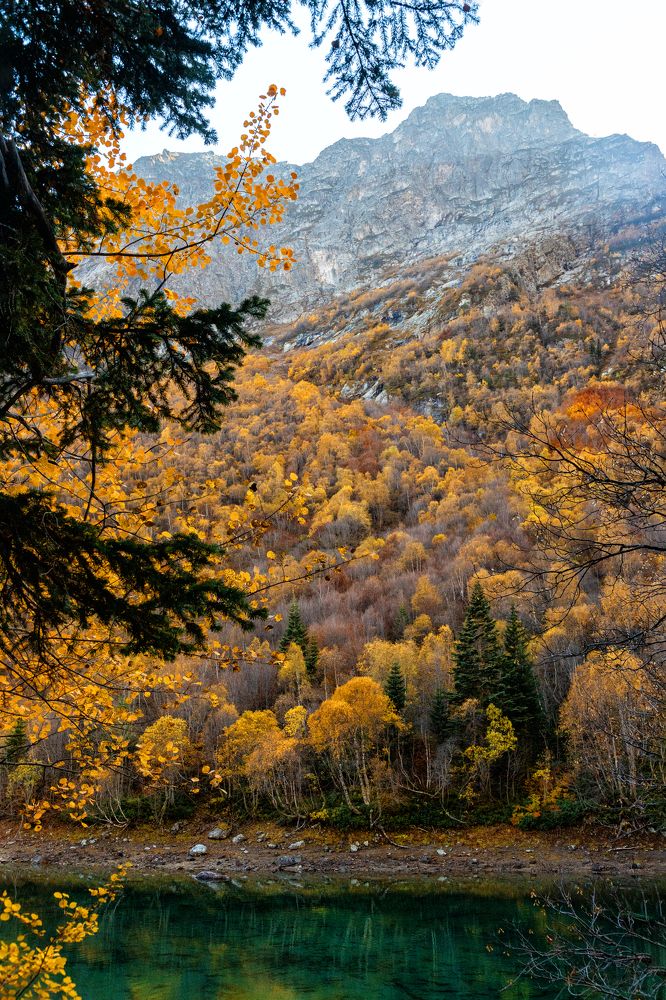 Photograph by EKATERINA WALTER