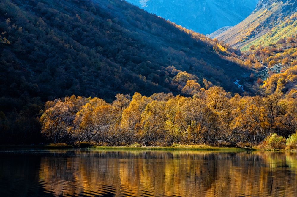 Photograph by EKATERINA WALTER