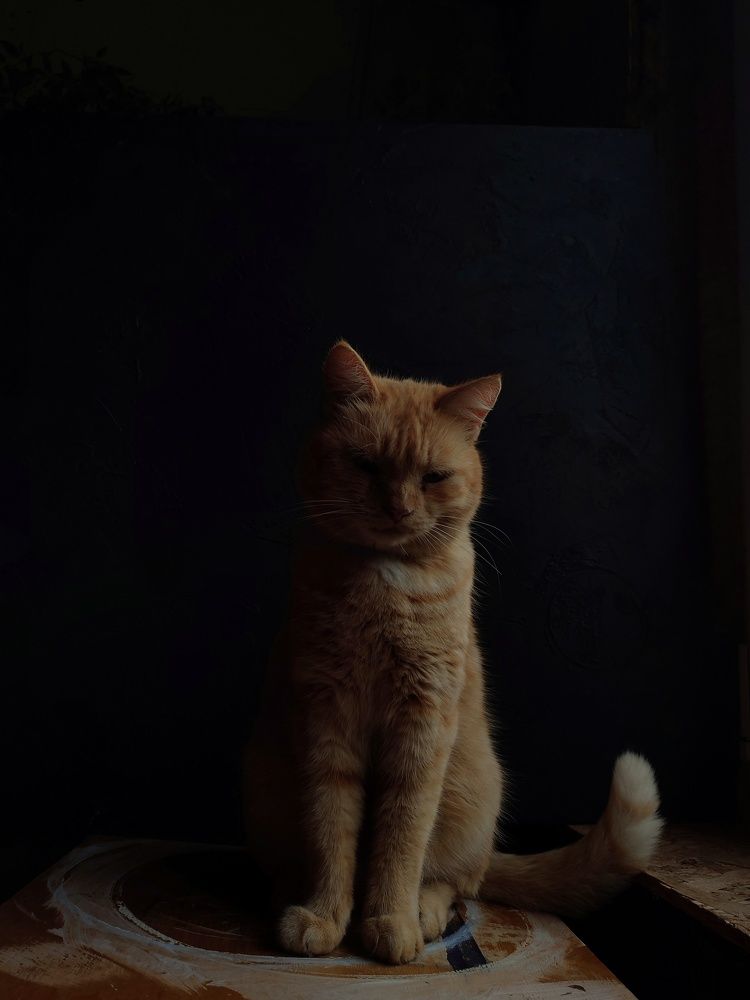 Photograph by Ekaterina