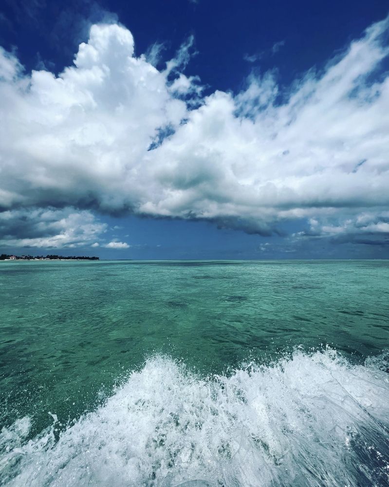 Photograph by Кристина Мишина