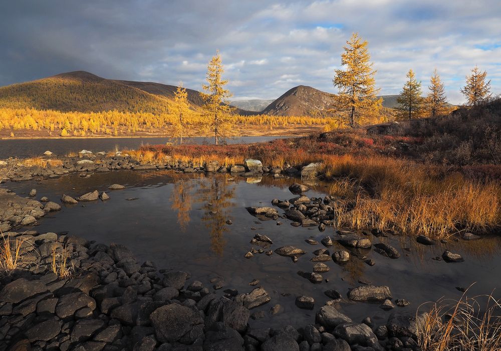 Photograph by Александр Попов