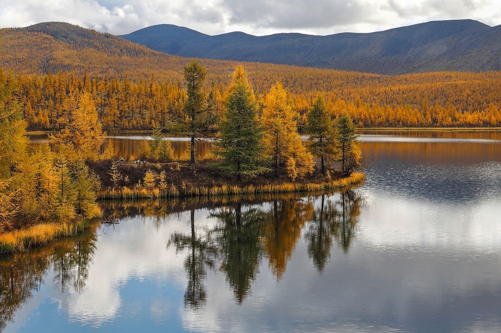 Photograph by Александр Попов