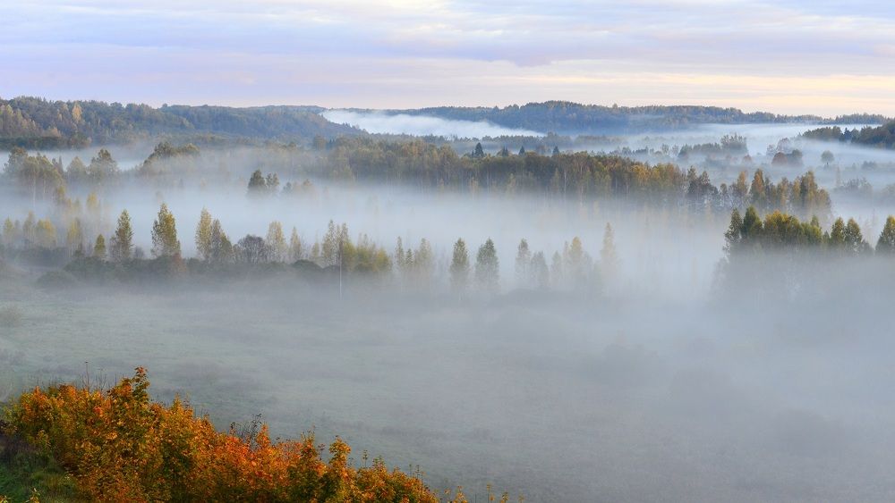 Photograph by Novikov Mikhail