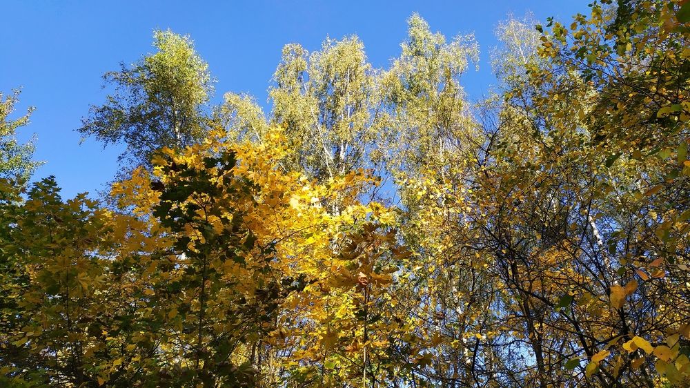 Photograph by Елена Смирнова