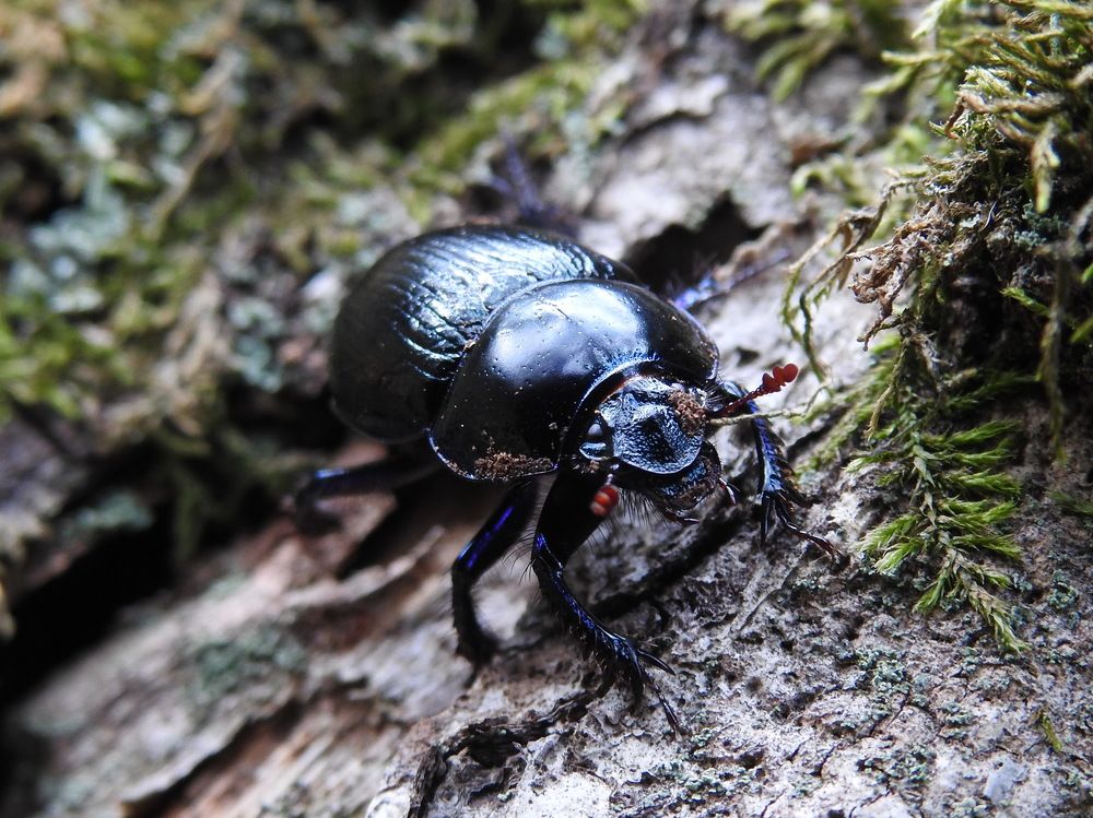 Photograph by Олеся Дейнеко